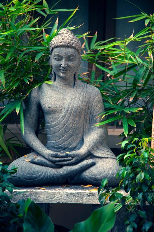 Hanu Reddy Residences Poes Garden Chennai Zewnętrze zdjęcie
